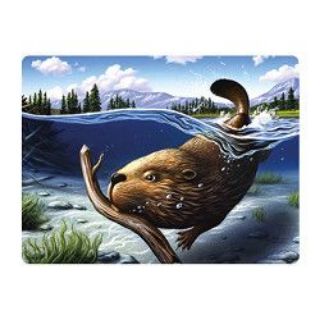 Obrázek z Pohlednice 3D 16cm - bobr (25) 